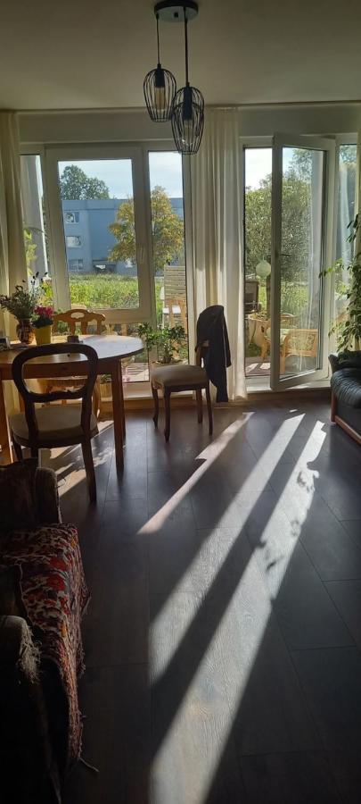 Gruene Stadtwohnung Apartment